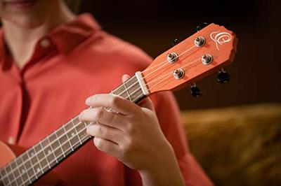 Ortega RUPUKI Earth Series Concert Size Ukulele Pumpkin Orange concert ukelele Ortega RUPUKI Earth Series Concert Size Ukulele Pumpkin Orange concert ukelele