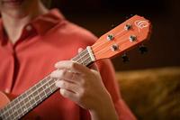 Ortega RUPUKI Earth Series Concert Size Ukulele Pumpkin Orange concert ukelele - thumbnail