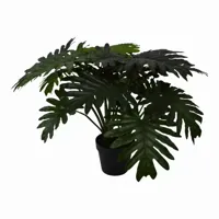 Kunstplant Philodendron 'xanadu' met pot - h60cm - thumbnail