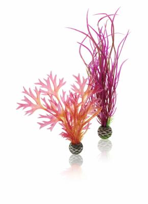 Aquariumtoebehoren plantenset medium rood & roze biOrb - Biorb