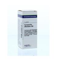 VSM Sarsaparilla officinalis C30 4 Gram - thumbnail