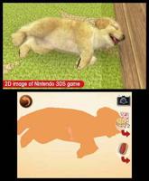Nintendogs + Cats Retriever - thumbnail