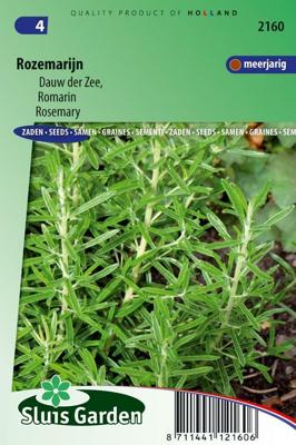 Rozemarijn zaden Rosmarinus Officinalis