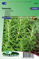 Rozemarijn zaden Rosmarinus Officinalis - thumbnail