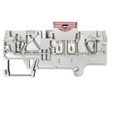 Zekeringklem voor platte autozekeringen WKFN 4 FSI Wieland Electric Grijs Inhoud: 1 stuk(s)