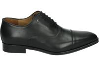 Van Bommel RAFFA 02.02 - alle - thumbnail