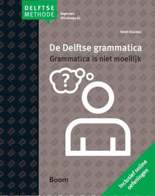 De Delftse grammatica - B. Sciarone - Paperback (9789085066088)