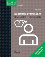 De Delftse grammatica - B. Sciarone - Paperback (9789085066088) - thumbnail