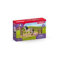 Schleich - Andalusian Horses Care Kit - 42270 - Horse Club Range - thumbnail