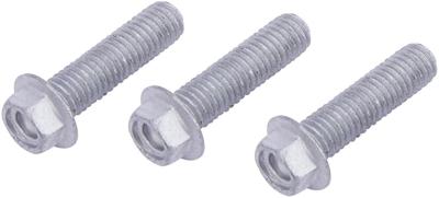 TRW bouten set screw set 3pcs. m8x1,25