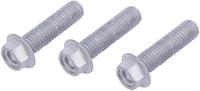TRW bouten set screw set 3pcs. m8x1,25 - thumbnail