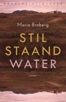 Stilstaand water - Maria Broberg - ebook - thumbnail