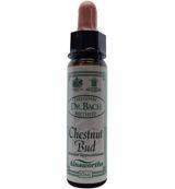 Ainsworths Chestnut bud Bach 10 Milliliter - thumbnail