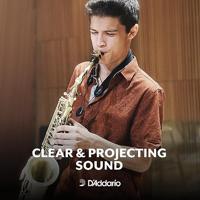 D&apos;Addario Woodwinds RKA0125-B25 Rico Tenorsaxofoonriet, sterkte 2.5, 25-pack, Unfiled - thumbnail