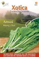 Zaden Xotica Groene Amsoi of mosterdkool Buzzy - Buzzy - thumbnail