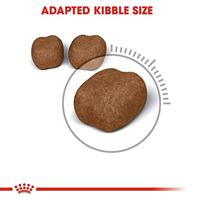 Royal Canin Oral Care droogvoer voor kat 1,5 kg - thumbnail
