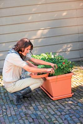 Elho green basics garden xxl plantenbak 60 cm mild terra Elho green basics garden xxl plantenbak 60 cm mild terra