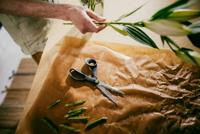 Fiskars 1074544 FF ReNew Tuinschaar 210 mm - thumbnail