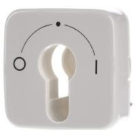 Busch-Jaeger 2CKA001710A1340 Sleutelschakelaar, Sleuteltoets Afdekking Duro 2000 SI Parel-wit, Crème-wit 1 stuk(s)