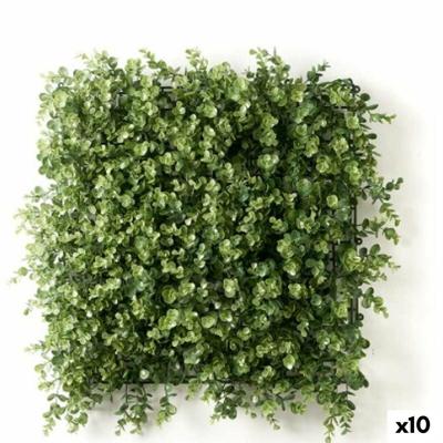 Verticale tuin Ibergarden Groen Plastic Lakens 50 x 50 cm (10 Stuks) Verticale tuin Ibergarden Groen Plastic Lakens 50 x 50 cm (10 Stuks)
