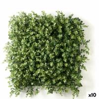 Verticale tuin Ibergarden Groen Plastic Lakens 50 x 50 cm (10 Stuks) - thumbnail