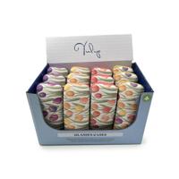 Tulpen Zonnebril Houder - thumbnail