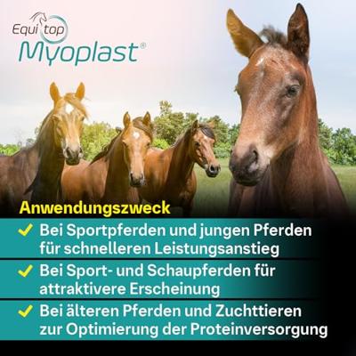 Equitop Myoplast - thumbnail