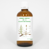 Balancepharma Gemmo simplex 13 equisetum arvense 100 Milliliter - thumbnail