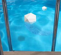 Interline absorberende zwembadsponzen 2 stuks - thumbnail