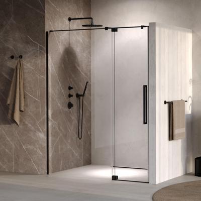 BRAUER Stellar nisdeur 2-delig draaiend helder glas 160x200 omkeerbaar incl. glascoating mat zwart BRAUER Stellar nisdeur 2-delig draaiend helder glas 160x200 omkeerbaar incl. glascoating mat zwart