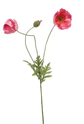 Emerald kunsttak klaproos 75cm roze