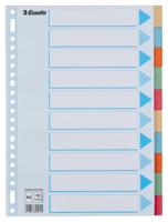 Tabbladen esselte premium a4 10dlg karton 23r ass - thumbnail