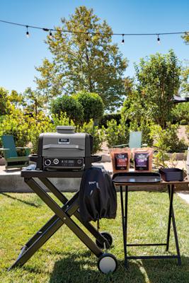 Ninja Woodfire Barbecuerooster Zwart