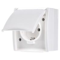 ABB 2CKA002083A0831 Geaard stopcontact IP44 Wit, Zuiver wit (RAL 9010) - thumbnail