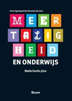 Meertaligheid en onderwijs (Paperback) - thumbnail