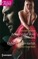 Achtervolgd door het verleden / Dubbel zo gevaarlijk - Amanda Stevens, Tyler Anne Snell - ebook - thumbnail