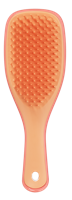 Tangle Teezer Detagling Mini Haarborstel - thumbnail