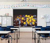 Celexon 1090784 Rolprojectiescherm 240 x 180 cm Beeldverhouding: 4:3 - thumbnail