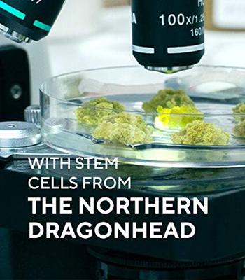 MÁDARA Plant Stem Cell Antioxidant Sunscreen SPF 30 100ml MÁDARA Plant Stem Cell Antioxidant Sunscreen SPF 30 100ml