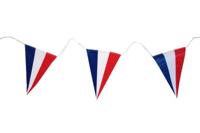 Vlaggenlijn Frankrijk 5 meter 10 vlaggen - thumbnail