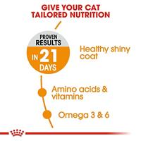 Royal Canin Hair & Skin Care kattenvoer 2 x 10 kg - thumbnail