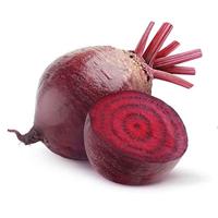 Rode Biet zaden Kogel 2 - Storuman BIO - thumbnail