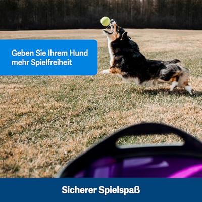 PETSAFE FILTER VOOR AVALON DRINKFONTEIN 2 ST - thumbnail