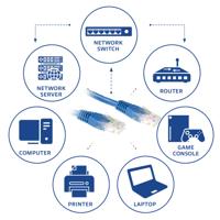 ACT IB8600 CAT6 U/UTP Patchkabel Blauw - 50 cm - thumbnail