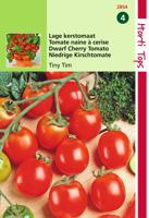 Zaden Kerstomaat Tiny Tim Hortitops - Hortitops - thumbnail