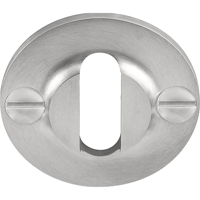 Formani | Sleutelplaatje | FVBN40 | 40mm | mat roestvast staal - thumbnail