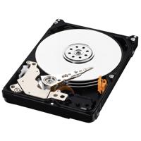 Western Digital AV-25 500 GB Harde schijf (2.5 inch) SATA II WD5000LUCT Bulk - thumbnail