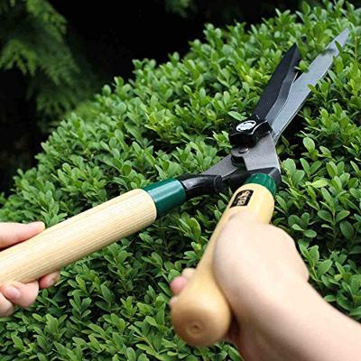 Siena Garden Heggenschaar