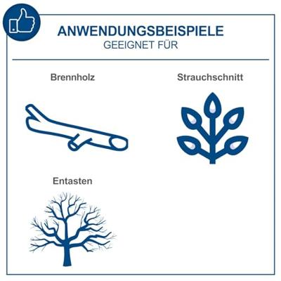 Scheppach Accu Kettingzaag 20V C-CS254-X 10" - 5910308900