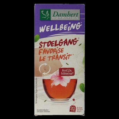 Tea time stoelgangthee 20 Zakjes